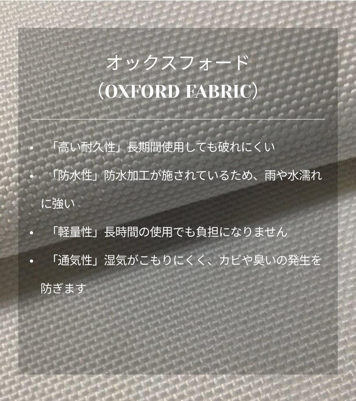 コレクション – GALAPAGOS